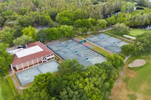 1368 Playmoor Dr, Palm Harbor, FL 34683 - Photo 71