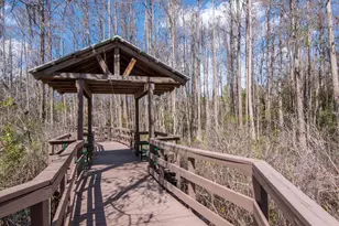 1900 Paw Paw Pl, Trinity, FL 34655 - Photo 67