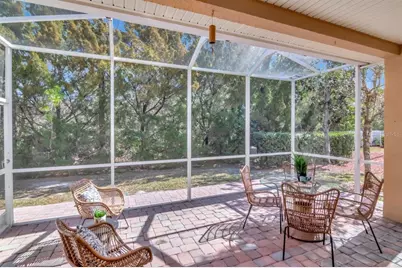 1900 Paw Paw Place, Trinity, FL 34655 - Photo 49