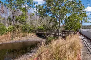 1900 Paw Paw Pl, Trinity, FL 34655 - Photo 63