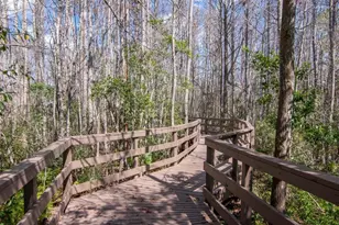 1900 Paw Paw Pl, Trinity, FL 34655 - Photo 65