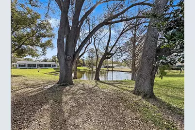 1446 Queen Anne Boulevard, Palm Harbor, FL 34684 - Photo 57