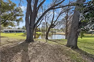 1446 Queen Anne Blvd, Palm Harbor, FL 34684 - Photo 57