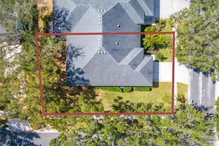 10420 Mulligan Ct, Tampa, FL 33647 - Photo 45