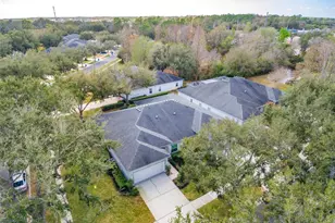 10420 Mulligan Ct, Tampa, FL 33647 - Photo 43