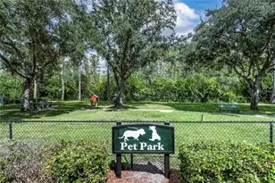20914 Ruby Red Way, Land O Lakes, FL 34637 - Photo 39
