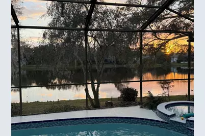 3204 Autumn Drive, Palm Harbor, FL 34683 - Photo 51