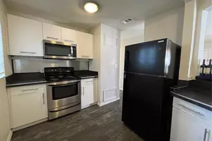 1311 W Lemon St, Tampa, FL 33606 - Photo 5