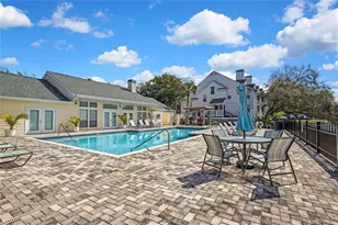 3311 Haviland Ct, Palm Harbor, FL 34684 - Photo 19