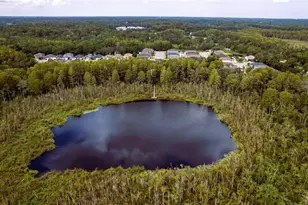 11468 Weaver Hollow Rd, New Port Richey, FL 34654 - Photo 55