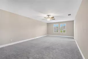 3934 Maurice Ave, Odessa, FL 33556 - Photo 17