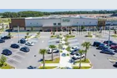 3934 Maurice Avenue, Odessa, FL 33556 - Photo 37