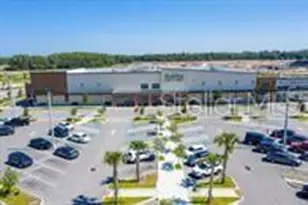 3934 Maurice Ave, Odessa, FL 33556 - Photo 37