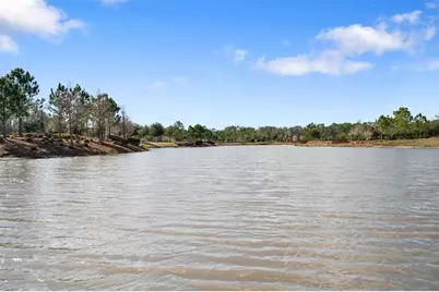 4563 San Martino Drive, Wesley Chapel, FL 33543 - Photo 39