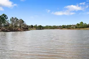 4563 San Martino Dr, Wesley Chapel, FL 33543 - Photo 39