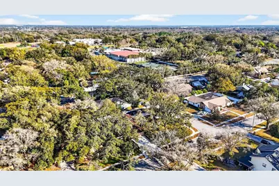 6418 Jacqueline Arbor Drive, Temple Terrace, FL 33617 - Photo 71