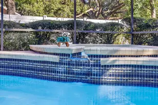 6418 Jacqueline Arbor Dr, Temple Terrace, FL 33617 - Photo 53