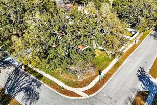 6418 Jacqueline Arbor Dr, Temple Terrace, FL 33617 - Photo 69