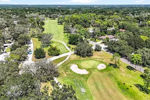 6418 Jacqueline Arbor Dr, Temple Terrace, FL 33617 - Photo 83