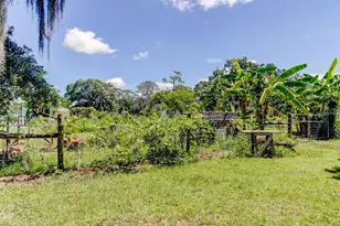 6418 Jacqueline Arbor Dr, Temple Terrace, FL 33617 - Photo 93