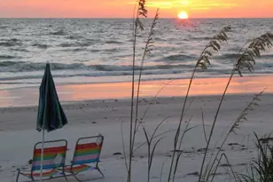 19652 Gulf Blvd, Indian Shores, FL 33785 - Photo 21