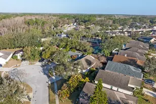 8506 Tiara Park Way, Tampa, FL 33635 - Photo 41