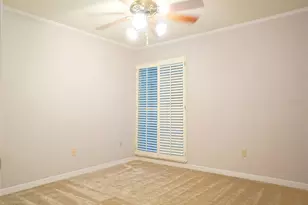 3325 Bayshore Blvd, Tampa, FL 33629 - Photo 7