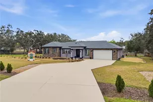 16090 Fringe Tree Dr, Spring Hill, FL 34610 - Photo 1