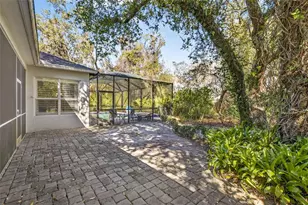 15036 Eaglerise Dr, Lithia, FL 33547 - Photo 69