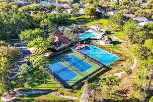 15036 Eaglerise Dr, Lithia, FL 33547 - Photo 79