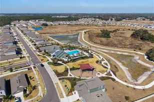 35202 Ackley Trce, Zephyrhills, FL 33541 - Photo 45