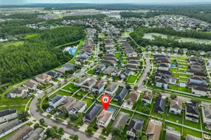 21324 Southern Charm Dr, Land O Lakes, FL 34637 - Photo 49