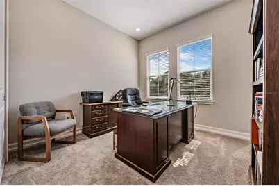 19920 Cypress Bridge Drive, Odessa, FL 33556 - Photo 31