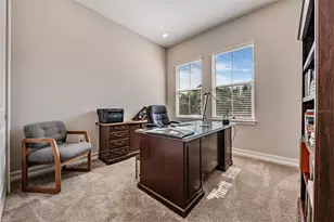 19920 Cypress Bridge Dr, Odessa, FL 33556 - Photo 31