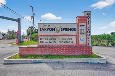 203 Driftwood Drive W, Palm Harbor, FL 34683 - Photo 33