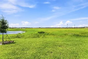 9931 Johnson Oaks Gln, Parrish, FL 34219 - Photo 19