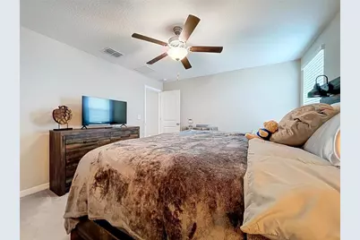 3141 Oyster Cove Street, Wimauma, FL 33598 - Photo 19
