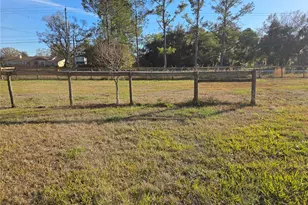 4901 Vaughn Rd, Plant City, FL 33565 - Photo 25