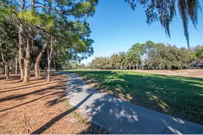 3910 Turkey Oak Drive, Valrico, FL 33596 - Photo 51