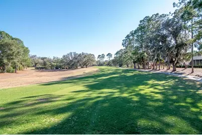 3910 Turkey Oak Drive, Valrico, FL 33596 - Photo 47