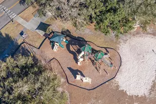 3910 Turkey Oak Dr, Valrico, FL 33596 - Photo 61