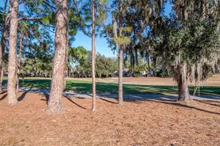 3910 Turkey Oak Dr, Valrico, FL 33596 - Photo 47