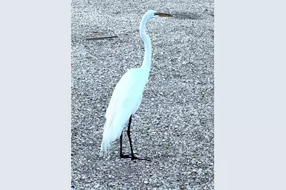 11201 122nd Avenue #197, Largo, FL 33778 - Photo 21