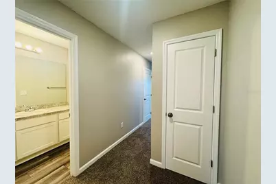 1022 Kelly Fern Loop, Ruskin, FL 33570 - Photo 49