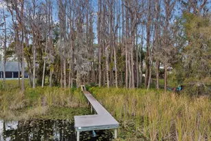 3812 Little Rd, Lutz, FL 33548 - Photo 3