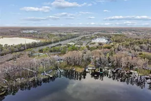 3812 Little Rd, Lutz, FL 33548 - Photo 89