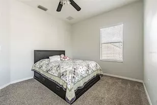 10859 Cory Lake Dr, Tampa, FL 33647 - Photo 31
