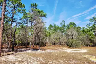 9153 Michigan Ave, Weeki Wachee, FL 34613 - Photo 71