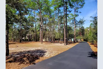 9153 Michigan Avenue, Weeki Wachee, FL 34613 - Photo 69