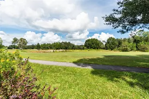 34515 Cedarfield Dr, Dade City, FL 33523 - Photo 43